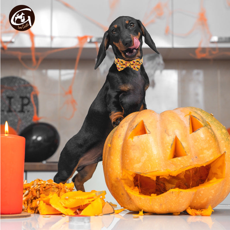 Spooky Halloween Pet Collar